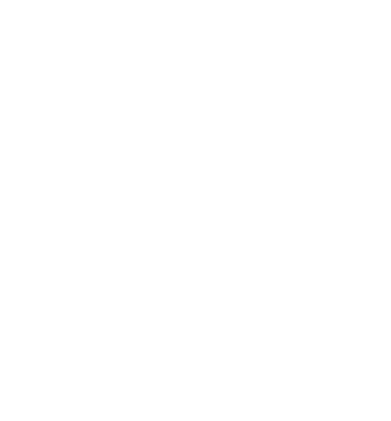 Consejo Federal de Inversiones